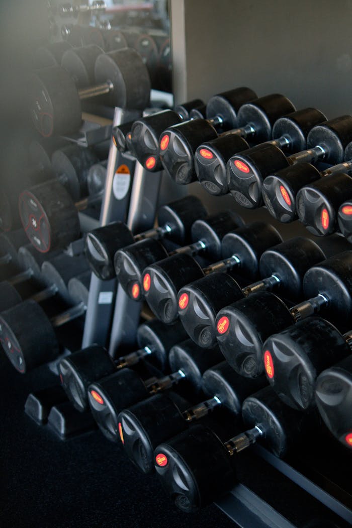 A neatly arranged set of dumbbells in a fitness center gym, ideal for strength training.